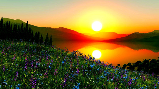 712274 (a): :1920x1080